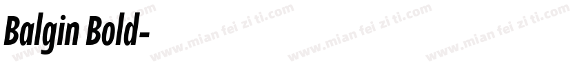 Balgin Bold字体转换